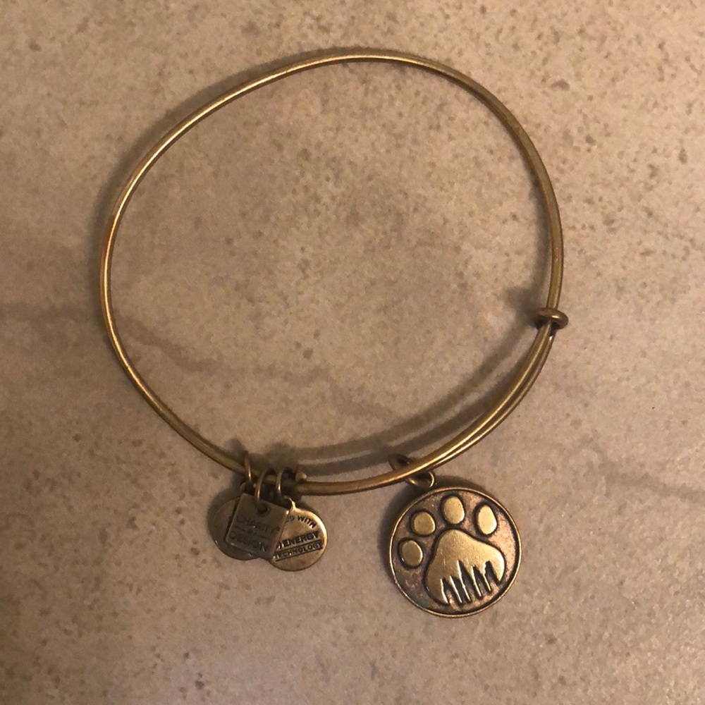 Alex and Ani paw print bracelet